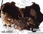 Thin Section Photograph of Sample MIL 07588 in Plane-Polarized Light