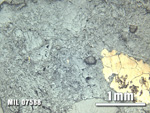 Thin Section Photo of Sample MIL 07588 at 2.5X Magnification in Reflected Light