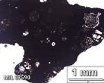 Thin Section Photograph of Sample MIL 07590 in Plane-Polarized Light