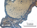 Thin Section Photo of Sample MIL 07598 at 2.5X Magnification in Plane-Polarized Light