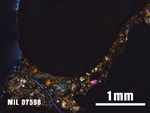 Thin Section Photo of Sample MIL 07598 at 2.5X Magnification in Cross-Polarized Light