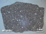 Thin Section Photo of Sample MIL 07621 at 1.25X Magnification in Reflected Light