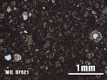 Thin Section Photo of Sample MIL 07621 at 2.5X Magnification in Plane-Polarized Light