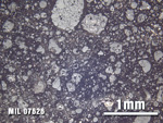 Thin Section Photo of Sample MIL 07626 at 2.5X Magnification in Reflected Light