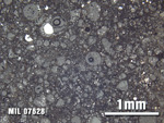 Thin Section Photo of Sample MIL 07628 at 2.5X Magnification in Reflected Light