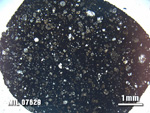 Thin Section Photo of Sample MIL 07629 at 1.25X Magnification in Plane-Polarized Light