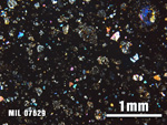 Thin Section Photo of Sample MIL 07629 at 2.5X Magnification in Cross-Polarized Light