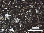 Thin Section Photo of Sample MIL 07631 at 2.5X Magnification in Plane-Polarized Light