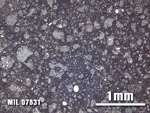 Thin Section Photo of Sample MIL 07631 at 2.5X Magnification in Reflected Light