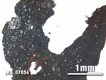Thin Section Photo of Sample MIL 07654 at 2.5X Magnification in Plane-Polarized Light