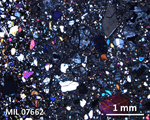 Thin Section Photograph of Sample MIL 07662 in Cross-Polarized Light