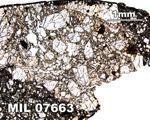 Thin Section Photograph of Sample MIL 07663 in Plane-Polarized Light at 2.5x Magnification