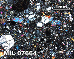 Thin Section Photograph of Sample MIL 07664 in Cross-Polarized Light at 2.5x Magnification