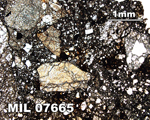Thin Section Photograph of Sample MIL 07665 in Plane-Polarized Light at 2.5x Magnification