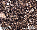 Thin Section Photograph of Sample MIL 07673 in Plane-Polarized Light