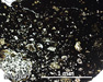 MIL 07677 Meteorite Thin Section Photo with 5x magnification in Plane-Polarized Light