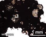 Thin Section Photograph of Sample MIL 07678 in Plane-Polarized Light