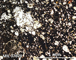 Thin Section Photograph of Sample MIL 07679 in Plane-Polarized Light