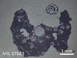 Thin Section Photo of Sample MIL 07681 in Reflected Light with  Magnification