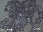 Thin Section Photo of Sample MIL 07683 in Reflected Light with  Magnification
