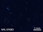 Thin Section Photo of Sample MIL 07683 in Cross-Polarized Light with  Magnification