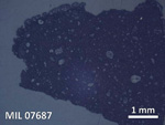 Thin Section Photo of Sample MIL 07687 in Reflected Light with  Magnification