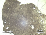 Thin Section Photo of Sample MIL 07689 at 1.25X Magnification in Reflected Light