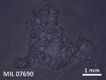 Thin Section Photo of Sample MIL 07690 in Reflected Light with  Magnification