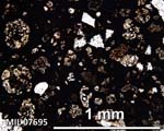 Thin Section Photograph of Sample MIL 07695 in Plane-Polarized Light