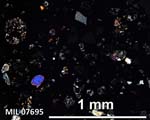 Thin Section Photograph of Sample MIL 07695 in Cross-Polarized Light