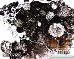 Thin Section Photograph of Sample MIL 07696 in Plane-Polarized Light