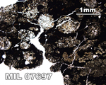 Thin Section Photograph of Sample MIL 07697 in Plane-Polarized Light at 2.5x Magnification