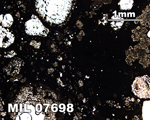Thin Section Photograph of Sample MIL 07698 in Plane-Polarized Light at 2.5x Magnification