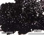 Thin Section Photograph of Sample MIL 07702 in Plane-Polarized Light