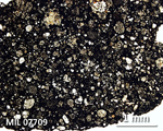 Thin Section Photograph of Sample MIL 07709 in Plane-Polarized Light