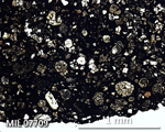 Thin Section Photograph of Sample MIL 07709 in Plane-Polarized Light