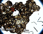 Thin Section Photo of Sample MIL 090001 in Plane-Polarized Light with 1.25x Magnification