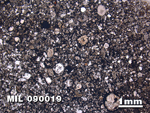 Thin Section Photo of Sample MIL 090019 at 1.25X Magnification in Plane-Polarized Light