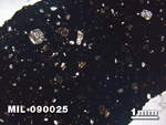 Thin Section Photo of Sample MIL 090025 in Plane-Polarized Light with 1.25X Magnification
