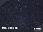 Thin Section Photo of Sample MIL 090025 in Reflected Light with 1.25X Magnification