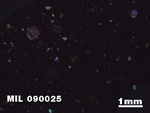 Thin Section Photo of Sample MIL 090025 in Cross-Polarized Light with 1.25X Magnification