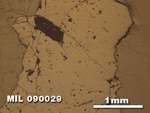 Thin Section Photo of Sample MIL 090029 at 2.5X Magnification in Reflected Light