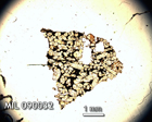 Thin Section Photo of Sample MIL 090032 in Plane-Polarized Light with 1.25x Magnification