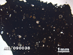Thin Section Photo of Sample MIL 090038 in Plane-Polarized Light with 1.25X Magnification