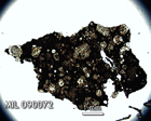 Thin Section Photo of Sample MIL 090072 in Plane-Polarized Light with 1.25x Magnification