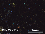 Thin Section Photo of Sample MIL 090117 in Cross-Polarized Light with 2.5X Magnification