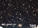 Thin Section Photo of Sample MIL 090118 in Plane-Polarized Light with 1.25X Magnification