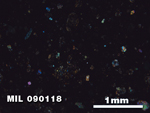 Thin Section Photo of Sample MIL 090118 in Cross-Polarized Light with 2.5X Magnification