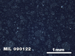 Thin Section Photo of Sample MIL 090122 in Reflected Light with 2.5X Magnification