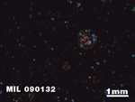 Thin Section Photo of Sample MIL 090132 in Cross-Polarized Light with 1.25X Magnification